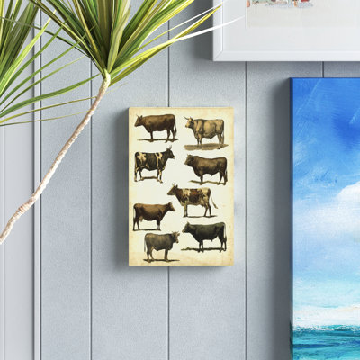 " Antique Cow Chart " Painting Print
