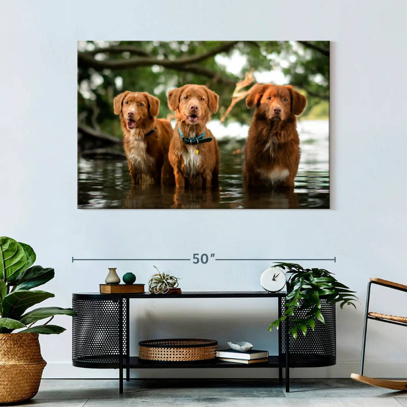 Brampt Tollers In The Water, 32" H x 48" W