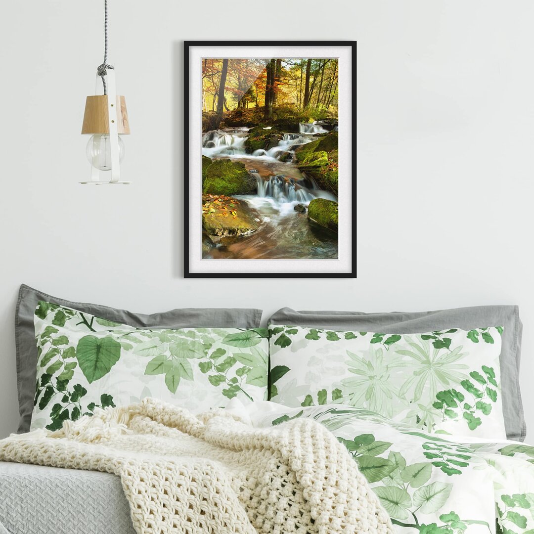 Fotodruck Wasserfall in einem herbstlichen Wald