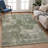 Machine Washable Indoor/Outdoor Chantille ACN2361 Casual Rug-1102157846
