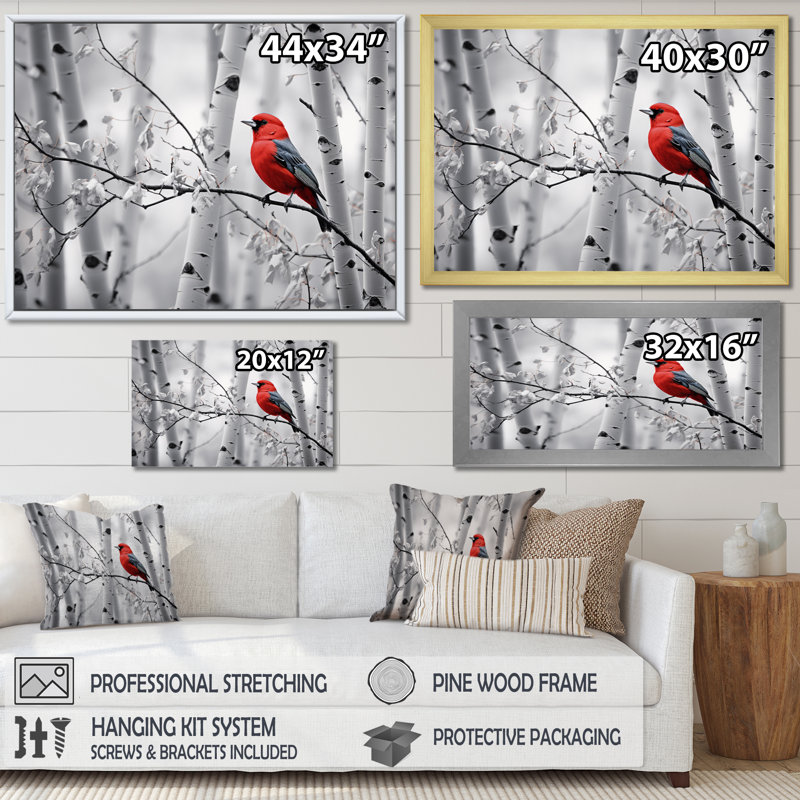 Martinella, oiseau rouge-gris en forêt II - impression, H 24 po x l 32 po x P 1 po, Cadre simple noir