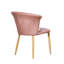Siyana Upholstered Dining Chair-1206154292