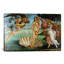 "La naissance de Vénus" par Botticelli Sandro, reproduction d'art sur toile tendue-10923522-71508156