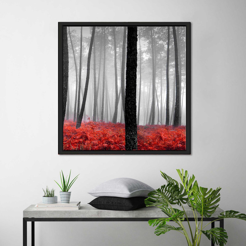 «Autumn Woods II» par Photoinc Studio - photographie, Cadre flottant noir, H 27,5 po x l 27,5 po x P 2 po