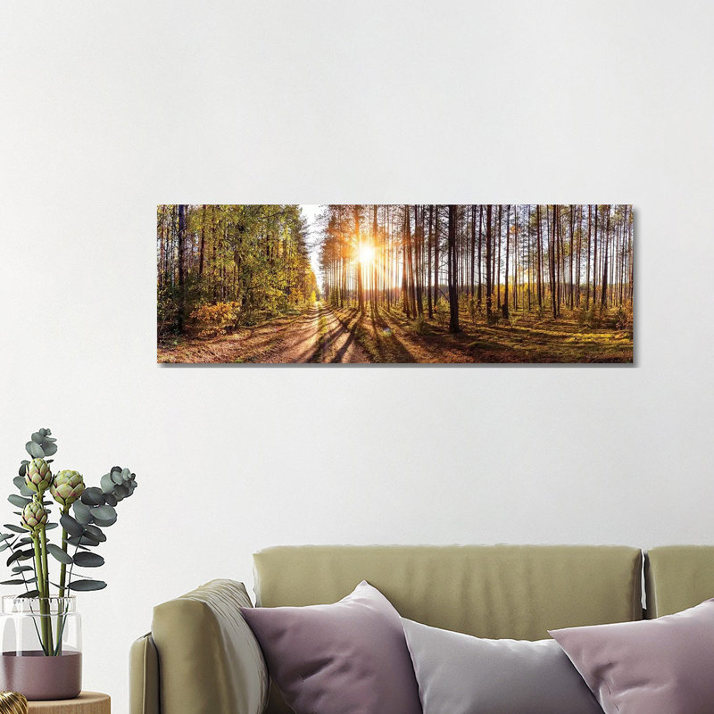 Sunny Day In Forest Panorama - Wrapped Canvas Panoramic Print, 121.92 cm H x 40.64 cm W x 1.91 cm D