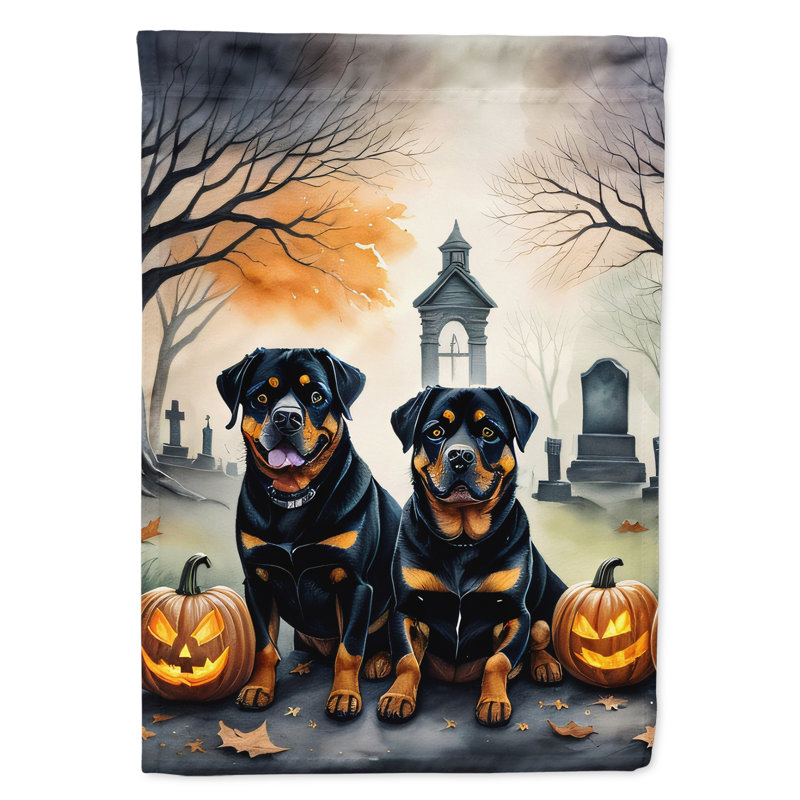 Drapeau de jardin en polyester double face H 15,5 po x l 11,25 po