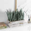 43.9cm Faux Plant in Solid Wood Planter
