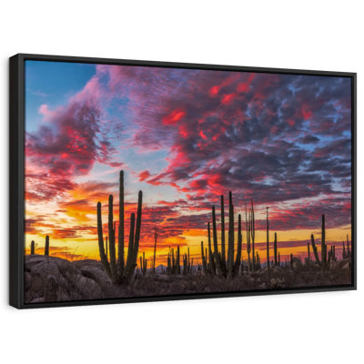 Nature "Art mural forêt de cactus de la Basse Californie"