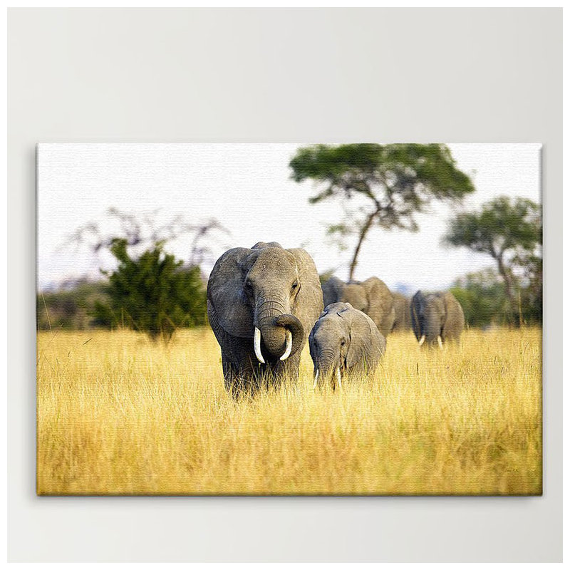 Print on Canvas, 40cm H x 60cm W x 2cm D