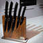 Frieling 10" Magnetic Knife
