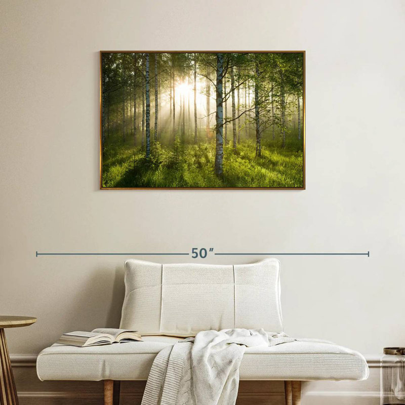 Birch Forest Sunlight, Cadre flottant doré, 37 po x 25 po