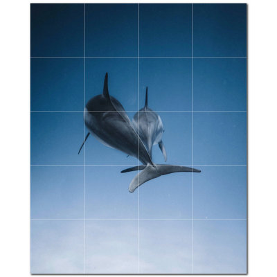 Murale en céramique 8 "x 8" Dolphin Photo