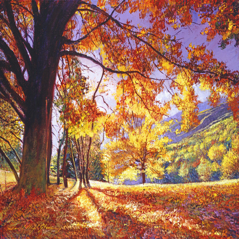 Ensembles de housse de couette DiaNoche en microfibre par David Lloyd Glover - Sunlight Through Trees