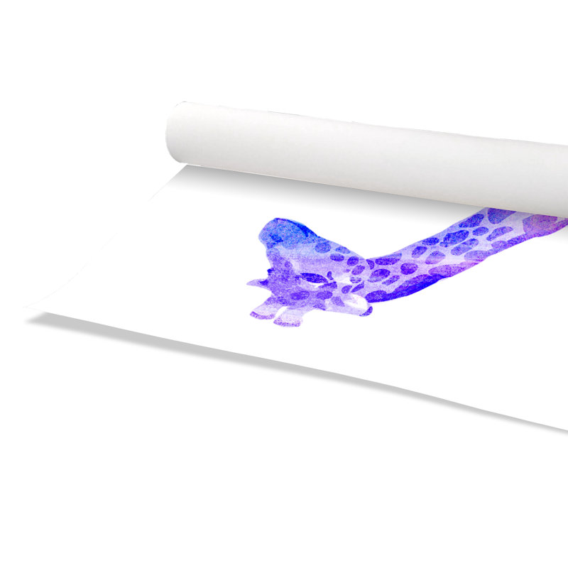 Impression sur papier Rolled Dream Big, H 16 po x l 12 po x P 1 po
