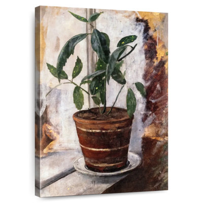 Potted Plant On The Windowsill
