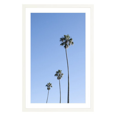 Plants & Flowers Print
