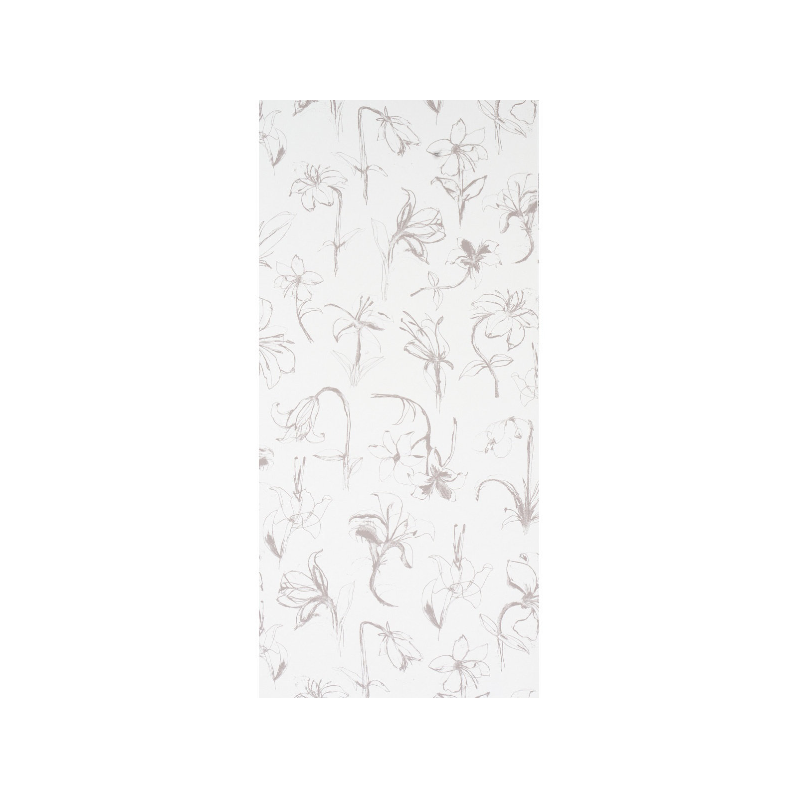 Schumacher x Hera Ford Close Your Eyes And Remember Wallpaper, Soft Black