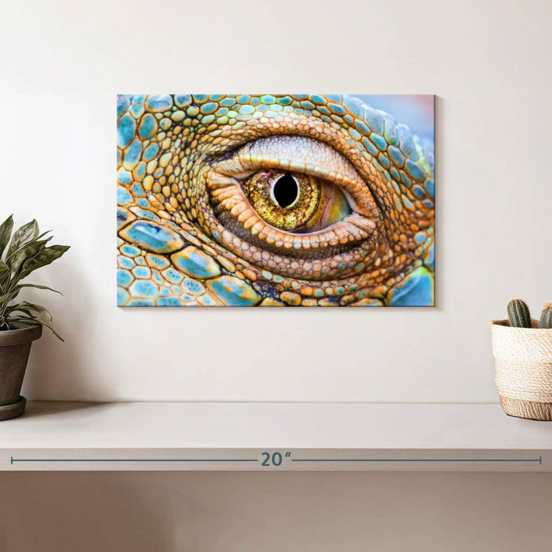 Crowle Iguana Eye
