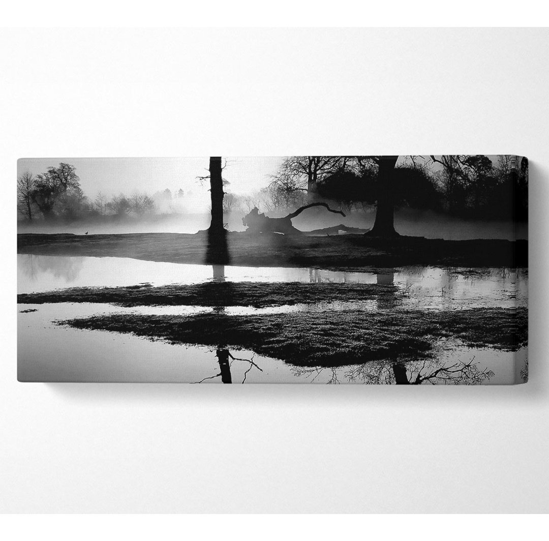 Sunset Forest Waters B N W - Kunstdrucke auf Leinwand