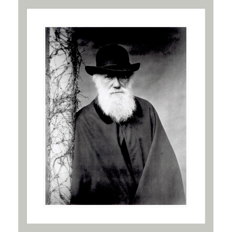 Portrait de Charles Darwin (1809-1882) par Julia Margaret Cameron, impression giclée encadrée, H 27,94 po x l 23,5 po