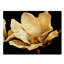 « crème au beurre magnolia i », reproduction de photo sur toile tendue-988163787