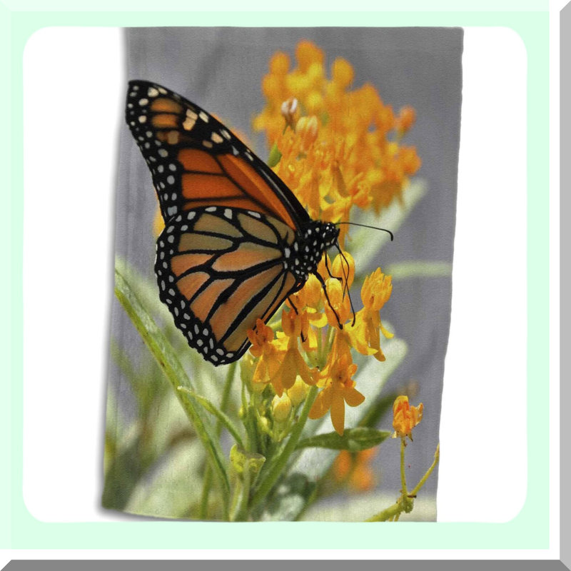 AquaRose 3D Aquarium Hand Towel - 15x22 Graphic Design, Orange Butterfly