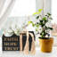 Decorative Book