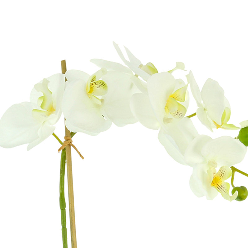 Arrangement floral orchidées et centres de table dans un vase