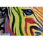 Psychedelic Zebra Hand Painted Acrylic Painting