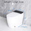Toilette intelligente avec fonctionnement automatique, sécheuse, nuit, contrôle de la température - élément de commodité de salle de bain