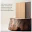 Armoire moderne pour femmes et chat noir
