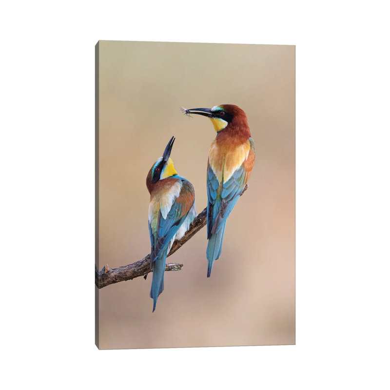 " The Gift " by Paolo Bolla, 18" H x 12" W x 1.5" D