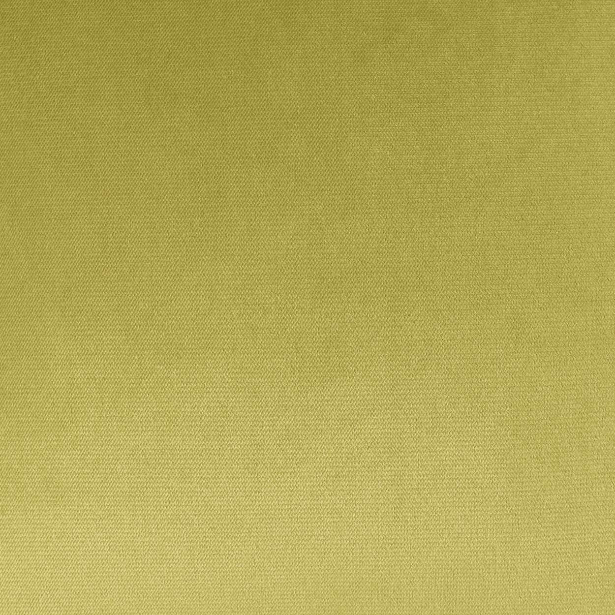 Belvedere Throw Pillow, Square 22", Lime