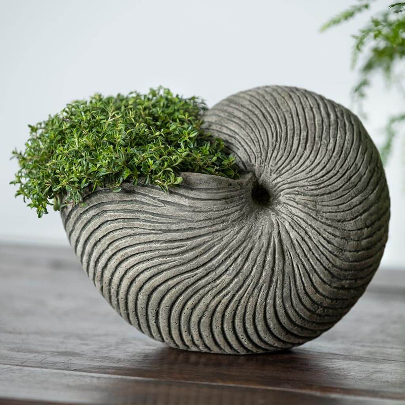 Ammonite Planter