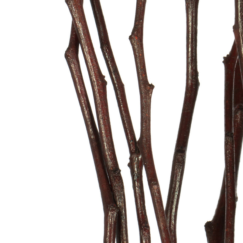 35'' Branch, Brown