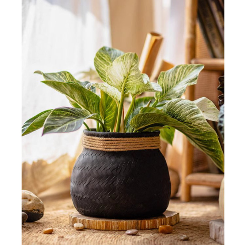 Pot à fleurs Louna, Noir, H 8,46 po x l 10 po x P 7,7 po