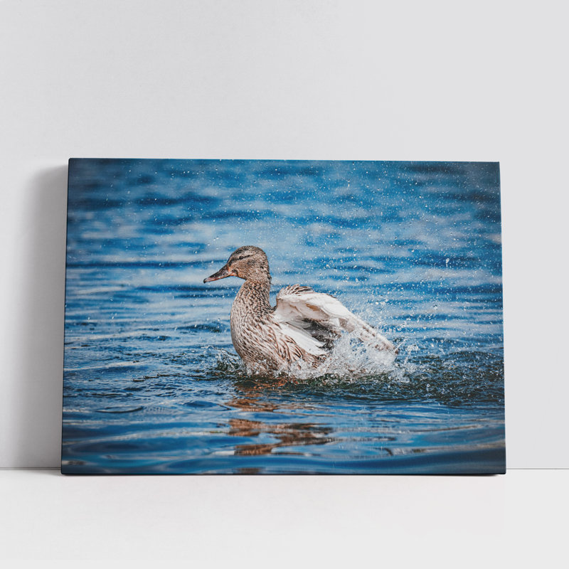 Duck Swimming in a Lake, 8" H x 12" W