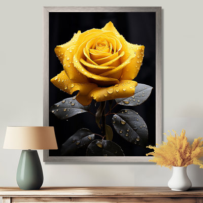 Danail Yellow Black Rose Elegance III On Canvas Print