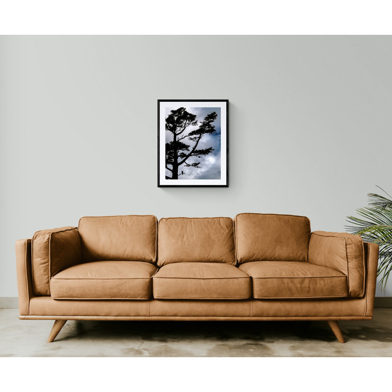One Crow In A Pin Print by Tom Kostes, Black Framed Paper, 31.2" H x 25.2" W