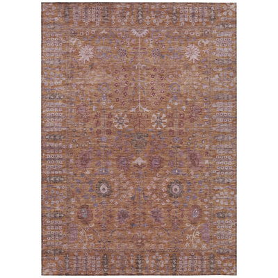 Machine Washable Indoor/Outdoor Kaczor ACN2231 Global Rug
