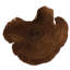 Vickerman 2-6" diameter Natural Calice, 15 pieces per bag, Dried