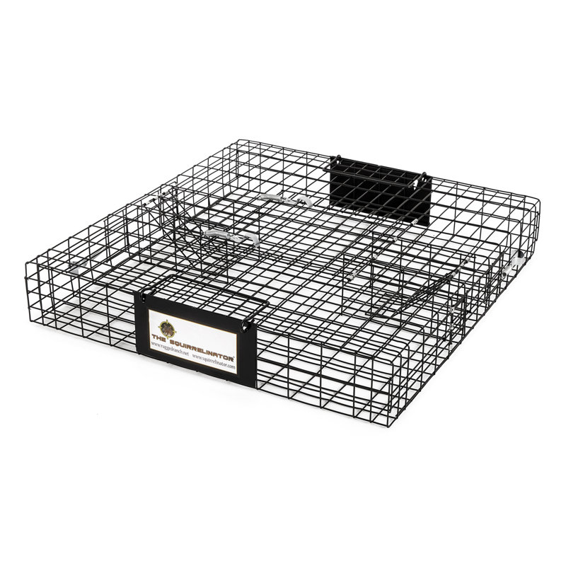 Weather Resistant Squirrel Cage
