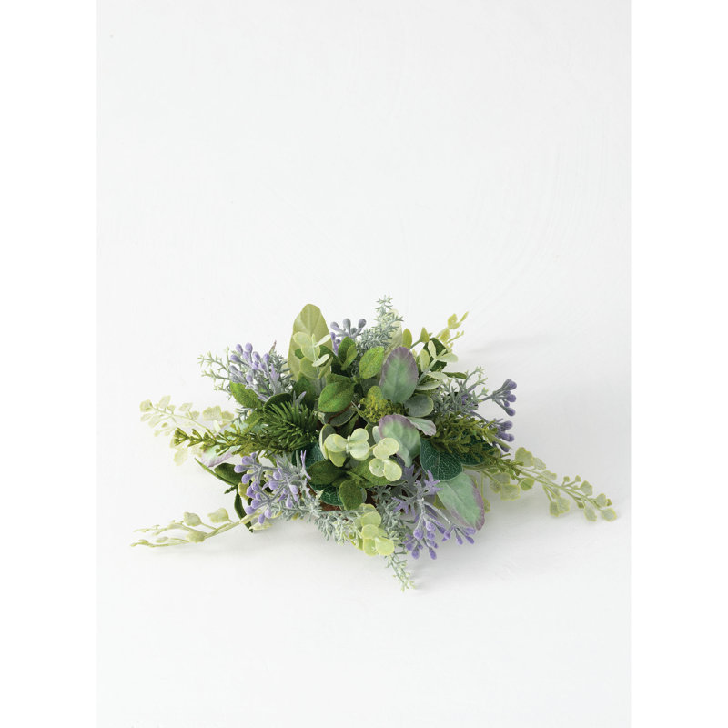 Plante à demi-orb en mélange d’herbes