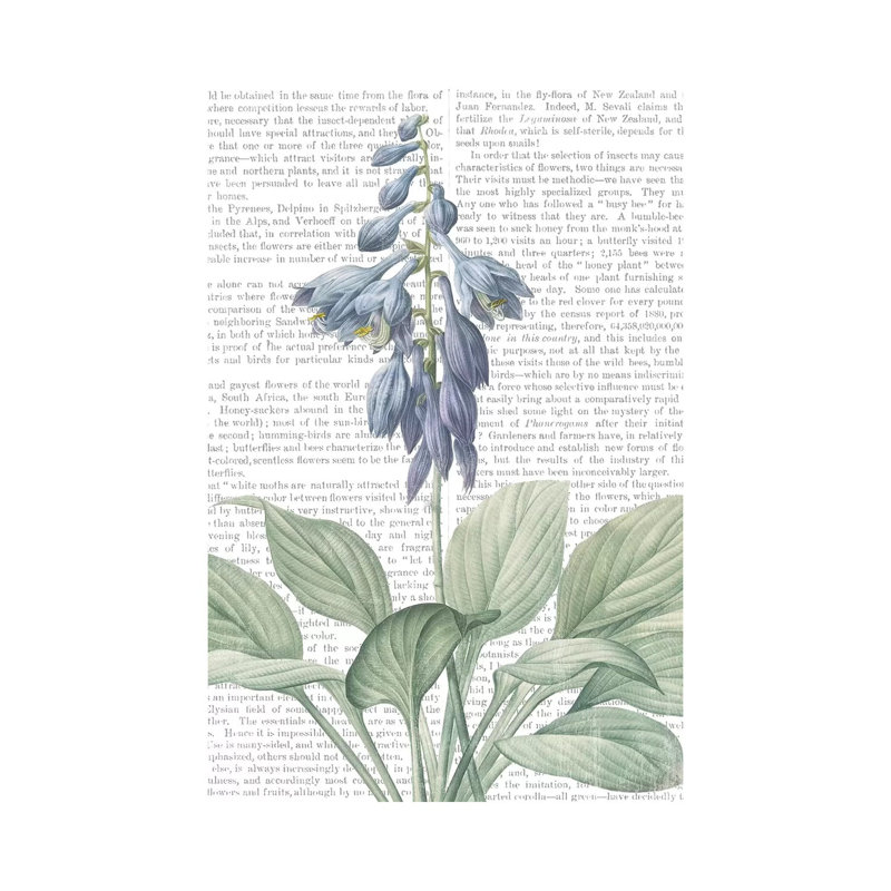 Summer Botanicals II - Wrapped Canvas Print, 20.32 cm H x 30.48 cm W