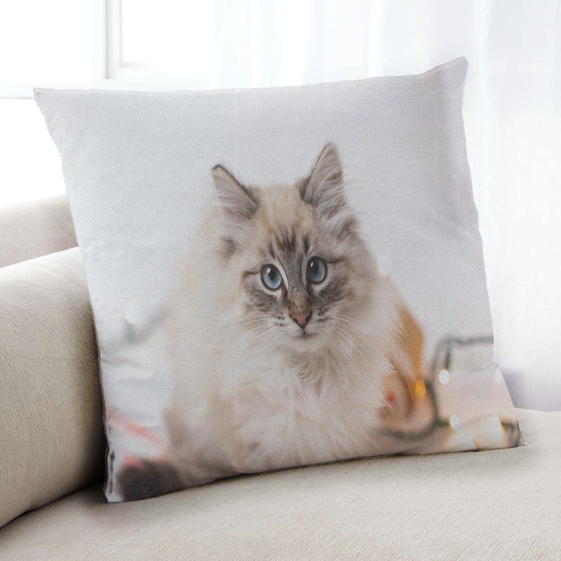 Coussin 14 chats, Synthétique