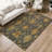 Machine Washable Indoor/Outdoor Chantille ACN2306 Global Rug-1525751812