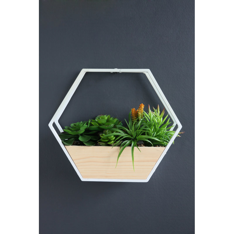 30.5Cm Artificial Succulent in White Hexagonal Planter