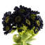 Plastic, Silk Artificial Arrangement-89222298