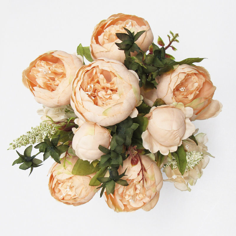 Buisson de pivoines de luxe mélangé, Pêche rosé