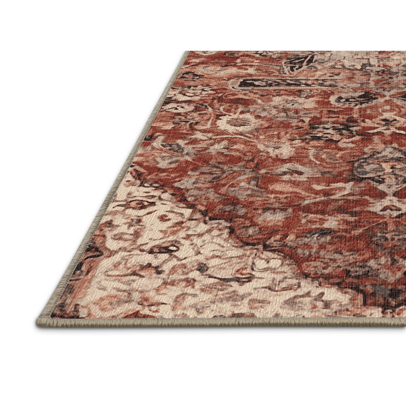 Machine Washable Brown Area Rug, Rectangle 5' x 8'